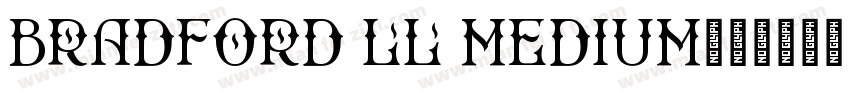Bradford LL Medium字体转换